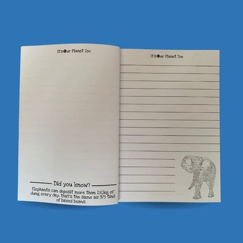 Eco-Friendly Fact-Filled Animal Notebook, Sticker & Colouring Pencil Gift Set - www.thecotswoldecocompany.co.uk