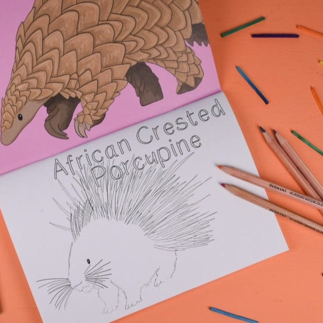 Amazing Animals Set Two Colouring Book
