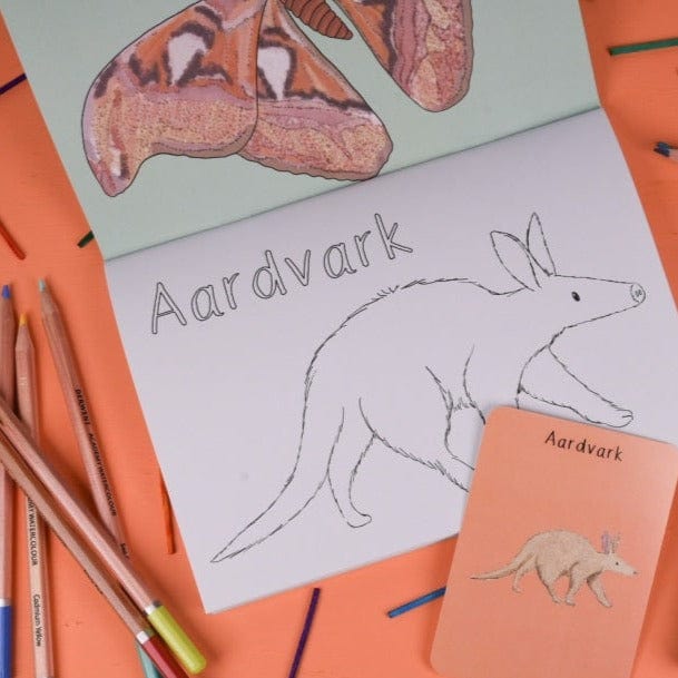Amazing Animals Set One Colouring Book