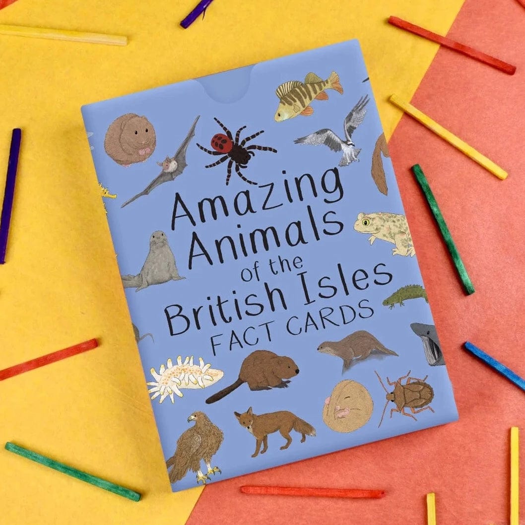Button & Squirt Amazing Animals of the British Isles Fact Cards