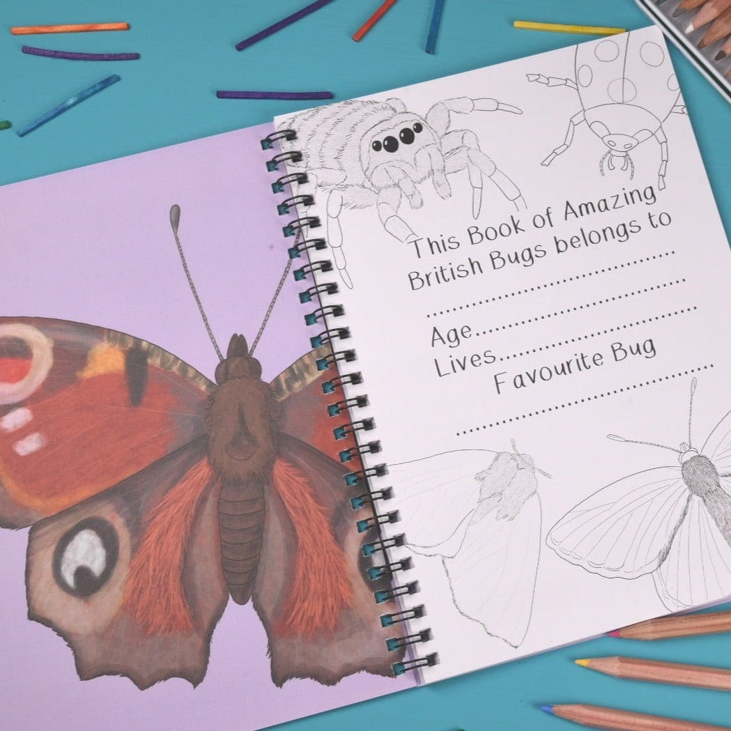 Amazing British Bugs Fact and Activity Book