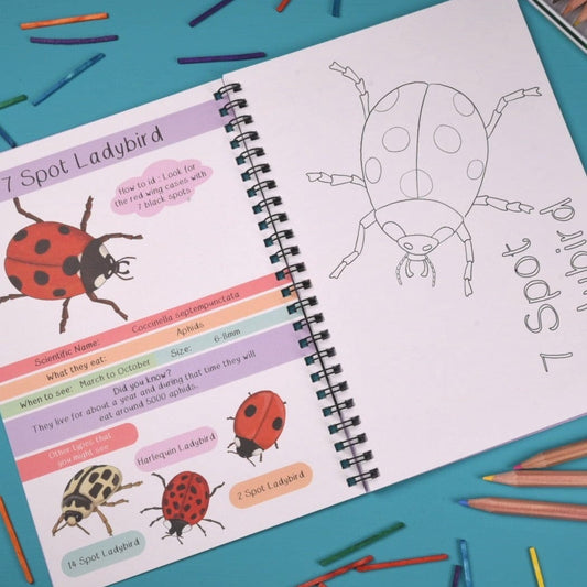 Amazing British Bugs Fact and Activity Book