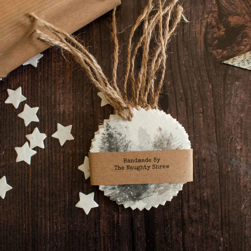 Plantable Christmas Gift Tags - Set Of 6 - Winter Scenes