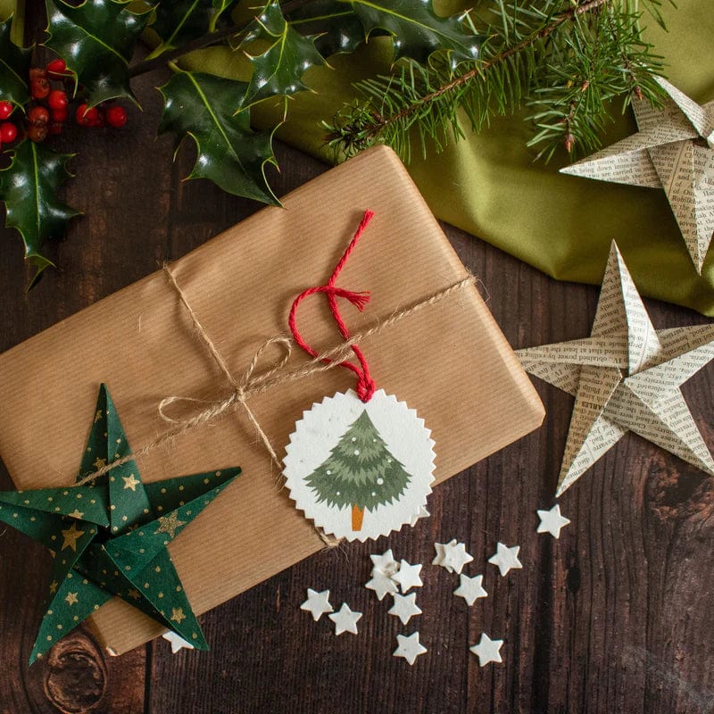 Plantable Christmas Gift Tags - Set Of 6