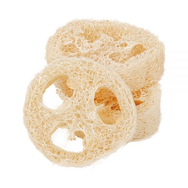 Loofah Soap Rest