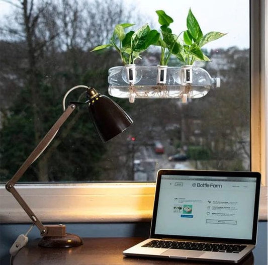 Bottle Farm - Grow Your Own Herb Kit - www.thecotswoldecocompany.co.uk