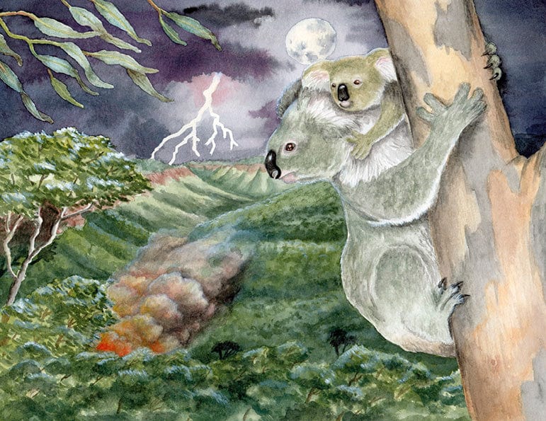 Wild Tribe Heroes - Sunny’s Blazing Battle Book