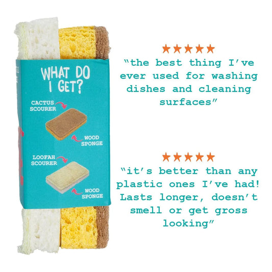 EcoVibe - Natural Compostable Sponge Scourer - 2 Pack