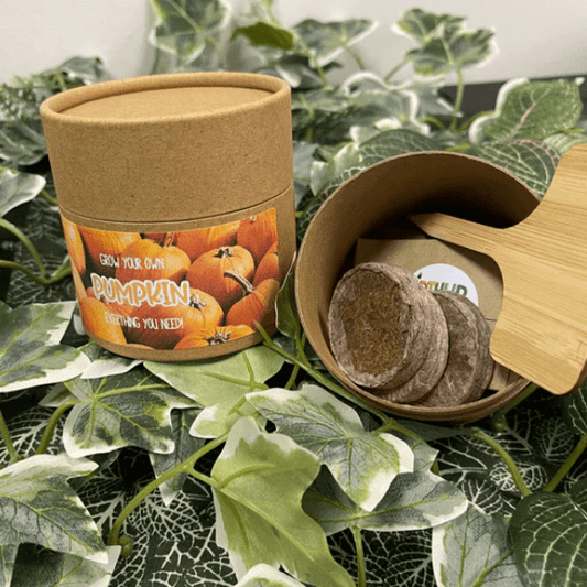 Arthur & Luna - Grow Your Own Giant Pumpkin Kit