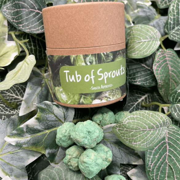 Arthur & Luna Christmas Tub of Sprouts - Seedbombs