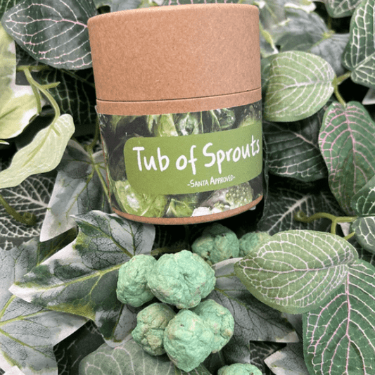 Arthur & Luna Christmas Tub of Sprouts - Seedbombs