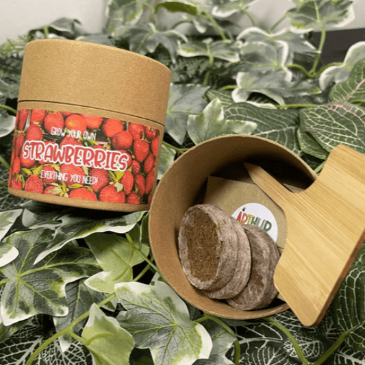 Arthur & Luna - Grow Your Own Strawberries Kit