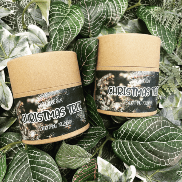 Arthur & Luna - Grow Your Own Christmas Tree