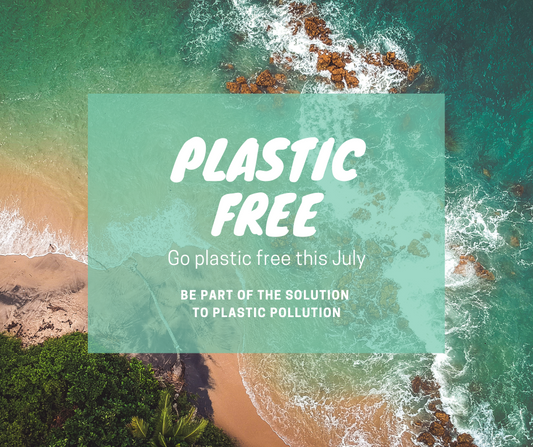 Easy Eco-Swaps For Plastic-Free July