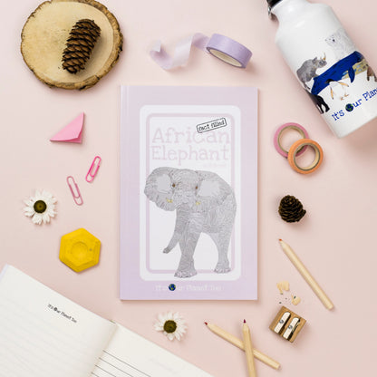 Eco-Friendly Fact-Filled Animal Notebook, Sticker & Colouring Pencil Gift Set - www.thecotswoldecocompany.co.uk