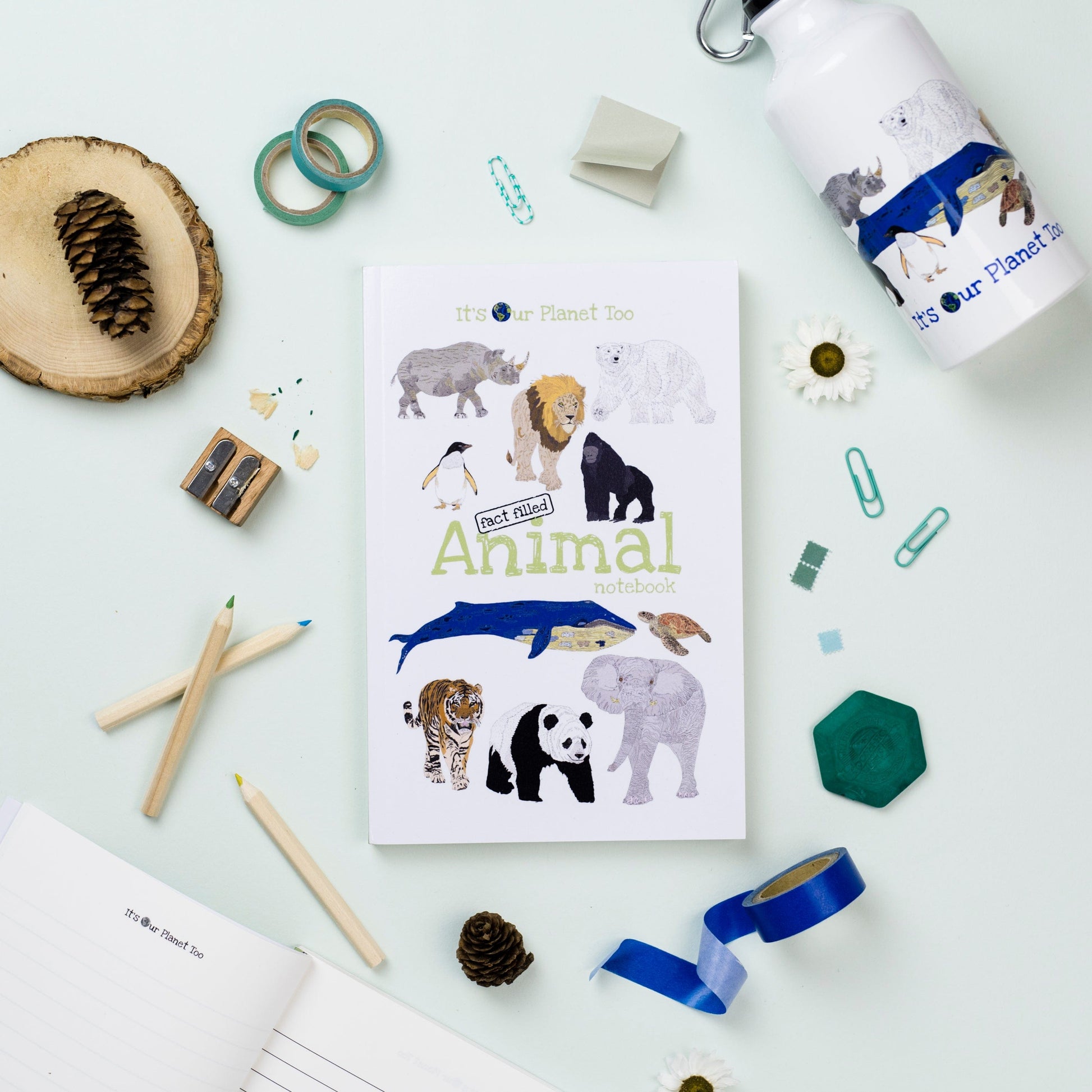 Eco-Friendly Fact-Filled Animal Notebook, Sticker & Colouring Pencil Gift Set - www.thecotswoldecocompany.co.uk