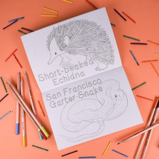 Amazing Animals Set One Colouring Book