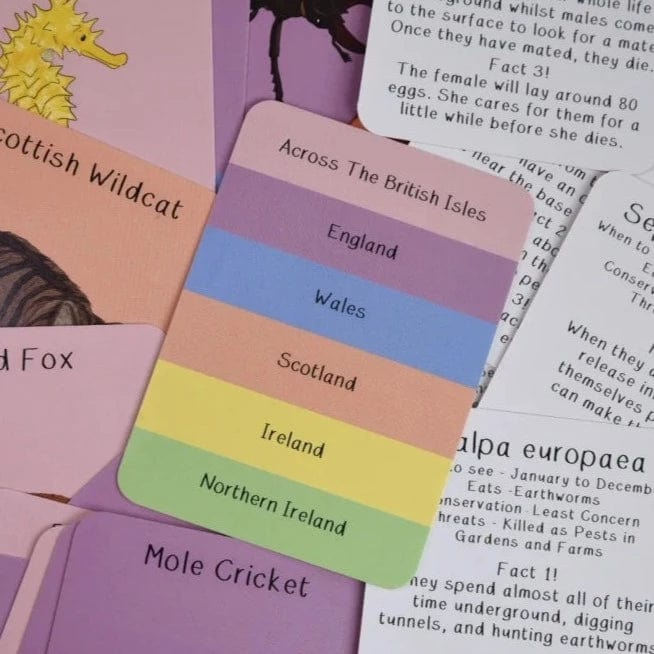 Button & Squirt Amazing Animals of the British Isles Fact Cards