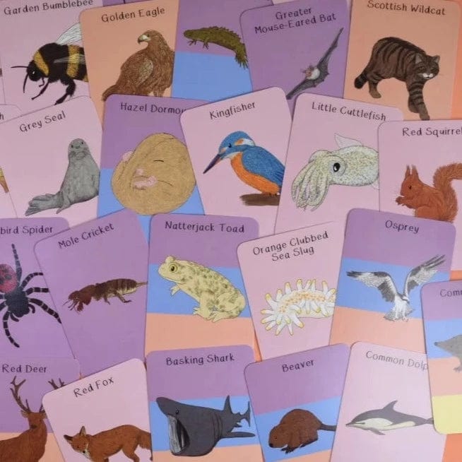 Button & Squirt Amazing Animals of the British Isles Fact Cards