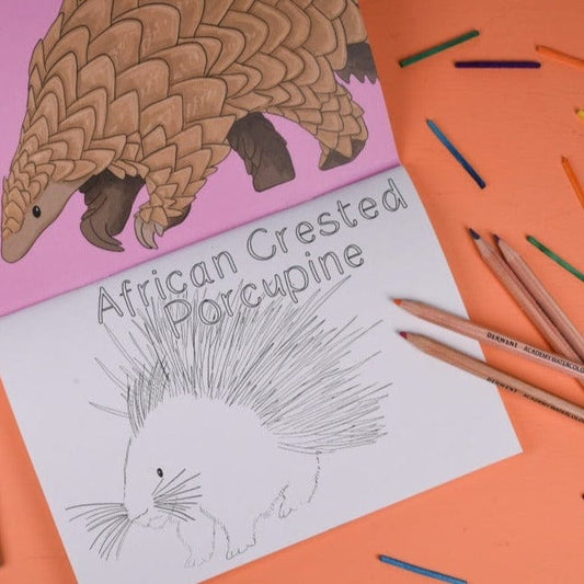 Amazing Animals Set Two Colouring Book