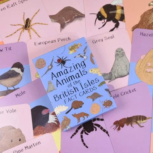 Button & Squirt Amazing Animals of the British Isles Fact Cards