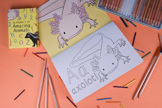 Alphabet of Amazing Animals Colouring Book