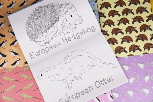 Amazing Animals of the British Isles Colouring Book