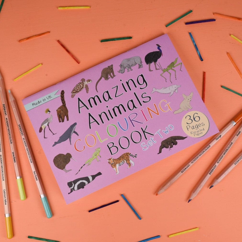 Amazing Animals Set Two Colouring Book