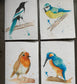 Plantable Seeded Eco-Friendly Card - Pack of Four - Birds