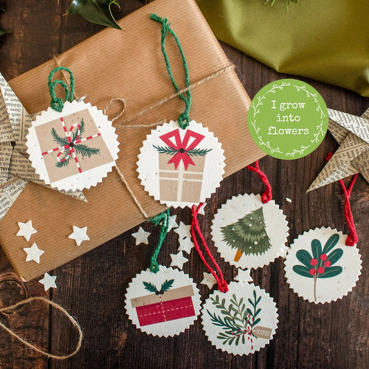 Plantable Christmas Gift Tags - Set Of 6