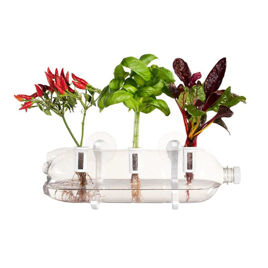 Bottle Farm - Grow Your Own Herb Kit - www.thecotswoldecocompany.co.uk
