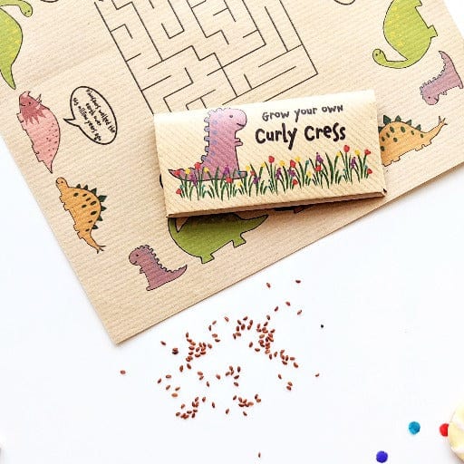Eco-Friendly Activity Sheets with Seeds