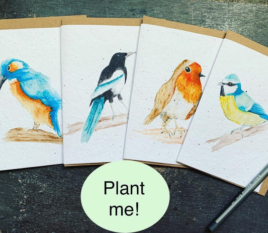 Plantable Seeded Eco-Friendly Card - Pack of Four - Birds