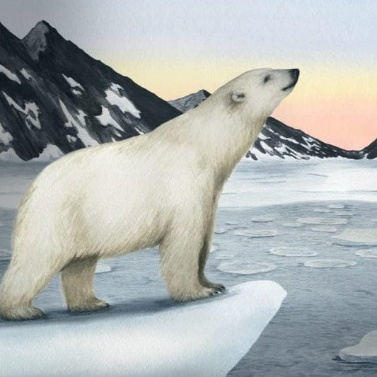 Wild Tribe Heroes Book - Hunter's Icy Adventure