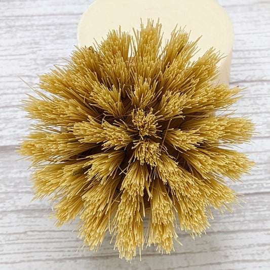 Dish Brush Replacement Head - www.thecotswoldecocompany.co.uk