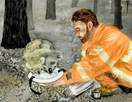 Wild Tribe Heroes - Sunny’s Blazing Battle Book