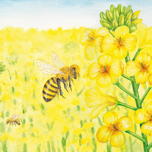 Wild Tribe Heroes Book - Ziggys' Frightening Flight