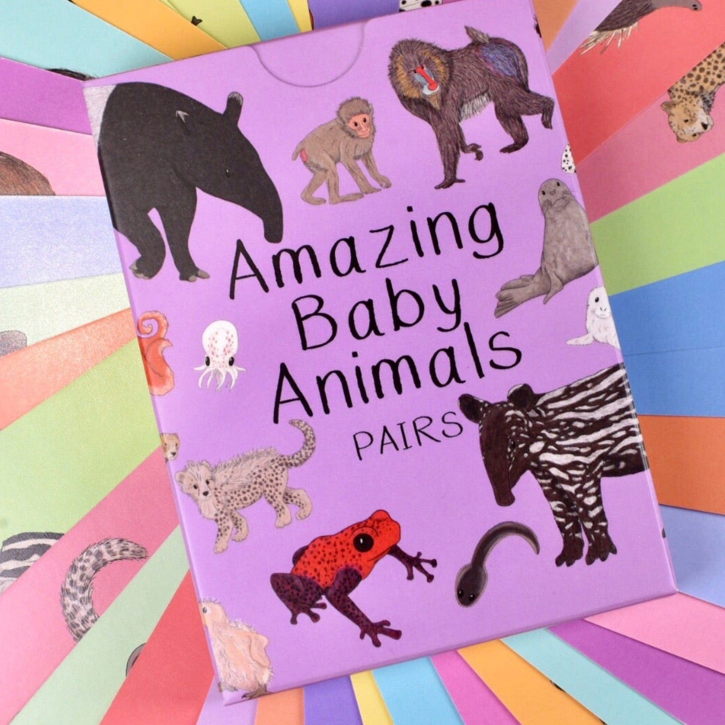 Button & Squirt - Amazing Baby Animals Pairs Flash Cards