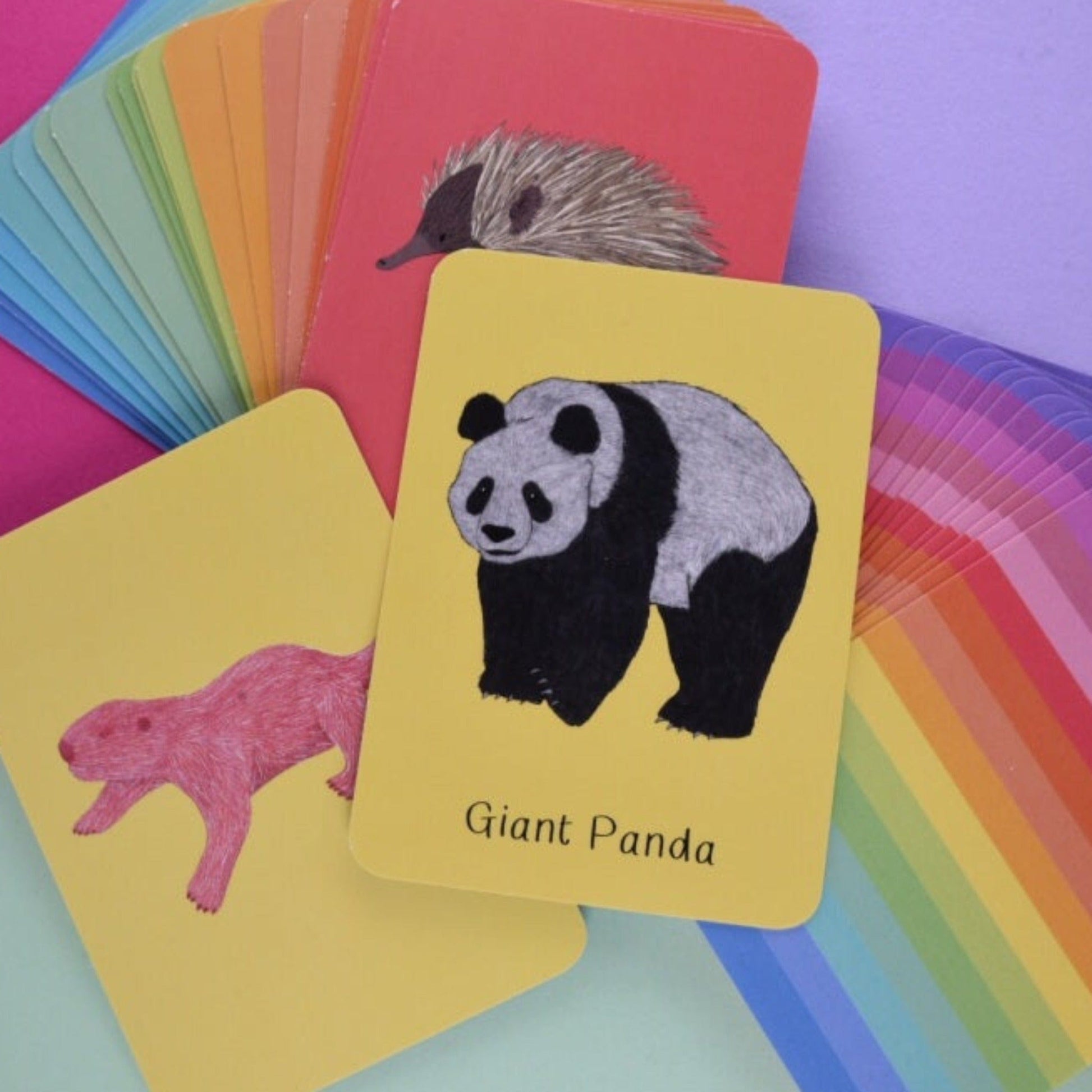 Button & Squirt - Amazing Baby Animals Pairs Flash Cards