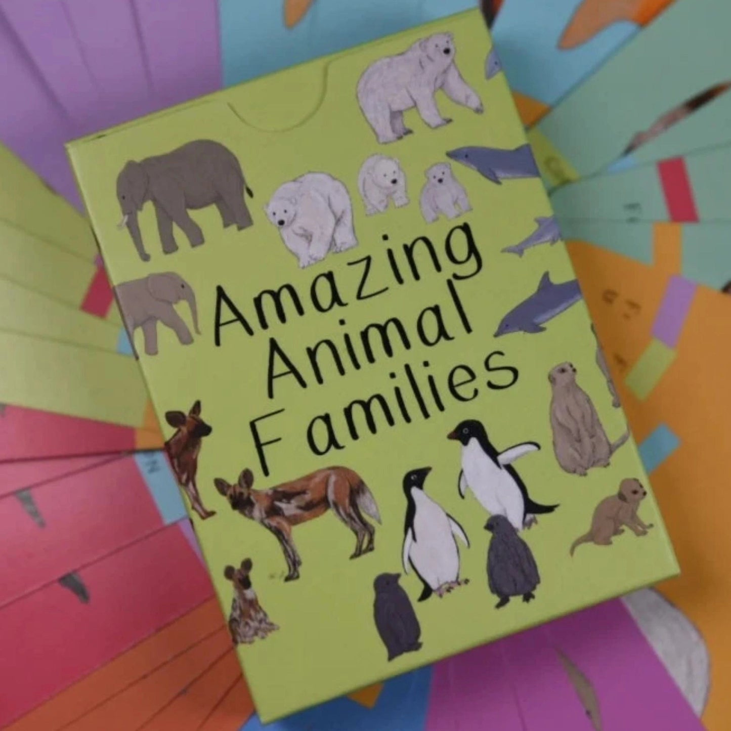 Amazing Animal Families Flash Cards