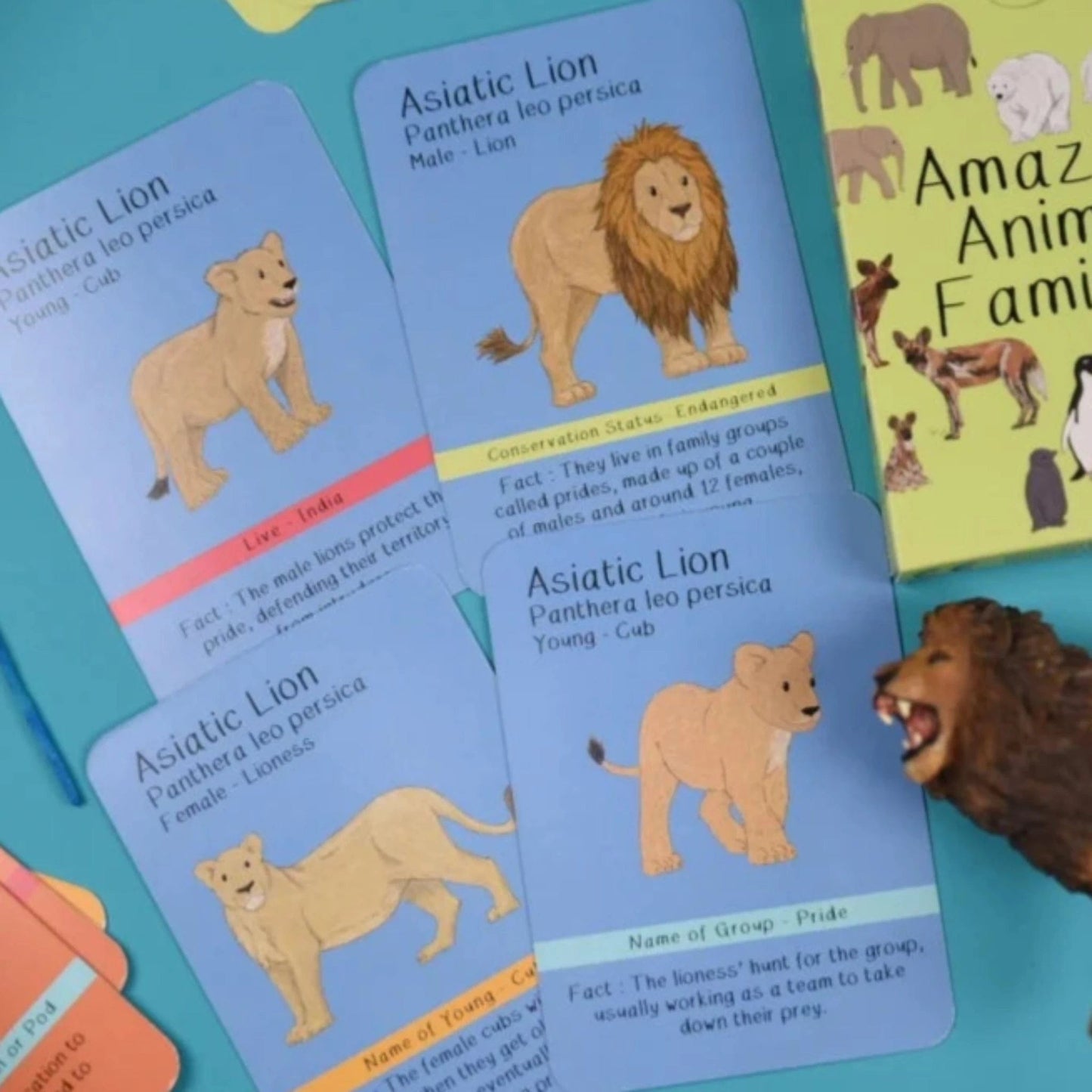 Amazing Animal Families Flash Cards