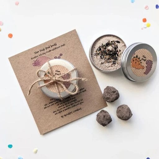 Eco-Friendly Mini DIY Seed Bomb Kit