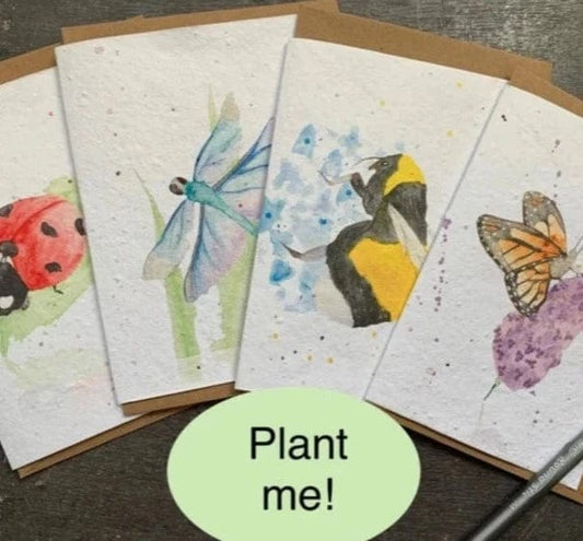 Plantable Seeded Eco-Friendly Card - Pack of Four - Bugs