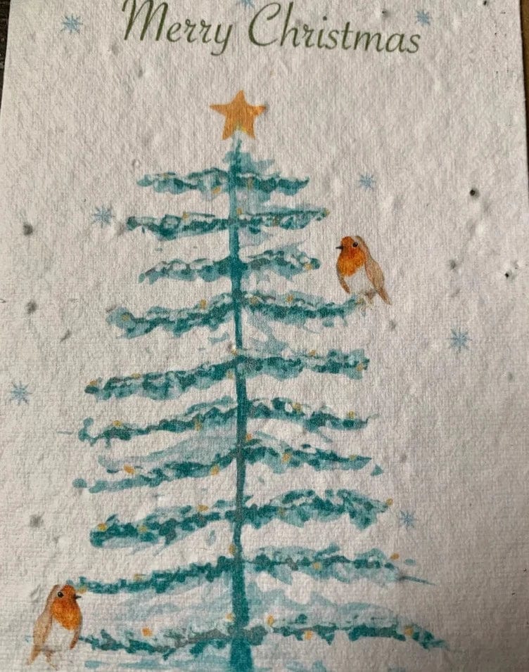 Plantable Seed Eco-Friendly Christmas Cards - Robins