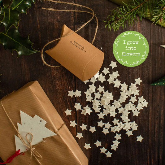 Plantable Christmas Star Confetti - Pack Of 100 Stars