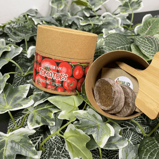 Arthur & Luna - Grow Your Own Tomatoes Mini Kit